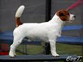 090829 pyry2